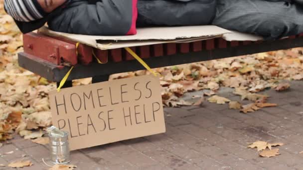 Jeune femme jetant de l'argent dans la boîte, aidant les sans-abri pauvre homme congelé, charité — Video