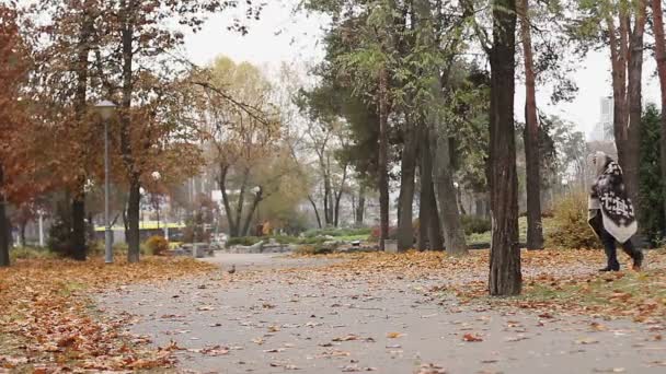 Grand homme couvert de couvertures boitant dans le parc, troubles mentaux, itinérance 