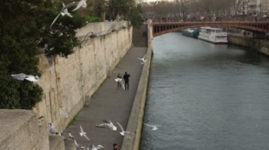 Suya yakın uçan martıları nehir dolgu üzerinde yürüme tatlı Romantik Çift