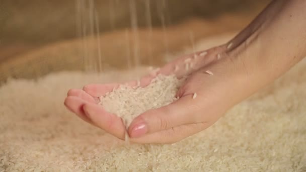 Органические белые семена риса льются в женскую руку, здоровое питание пищевой продукт — стоковое видео