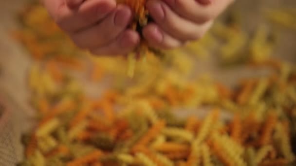 Mãos de mulher segurando macarrão colorido, vendedor mostrando produto alimentar de alta qualidade — Vídeo de Stock