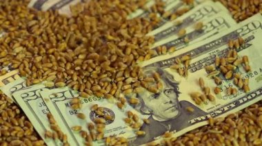 Doları banknot, tarım ürünün satış geliri üzerinde dökme buğday tahıl