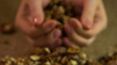 Eller, organik gıda ürün, sağlıklı beslenme kabuklu ceviz avuç