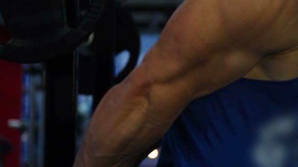 Gespierde mannelijke atleet, die zich uitstrekt voordat opleiding, massieve takken van bodybuilder — Stockvideo