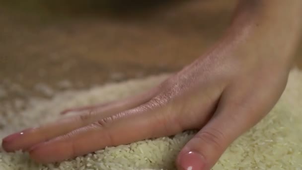 As mãos da senhora desfrutando de toque de arroz coletado, produto orgânico, agricultura — Vídeo de Stock