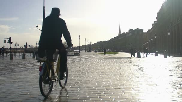 Senior male enjoying bicycle ride on the street, sunny day in beautiful city — Stock Video