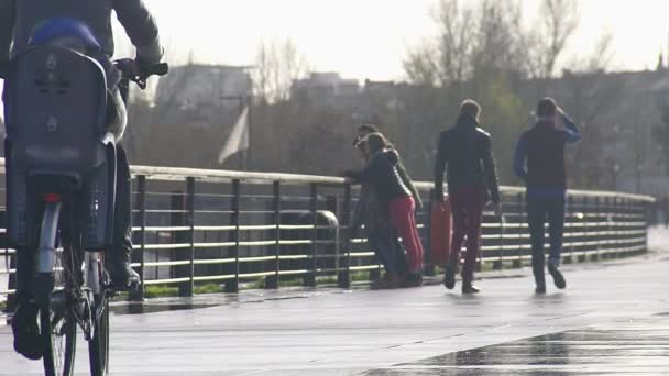 両親が週末を楽しむ堤防に沿って子供と自転車に乗って — ストック動画