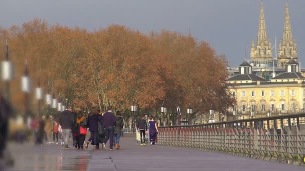 Relaxed people walking along embankment, enjoying beautiful city view, weekend — Stock Video