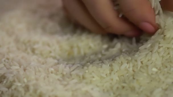 Fazendeiro fêmea segurando arroz branco de alta qualidade em mãos, agricultura, dieta — Vídeo de Stock