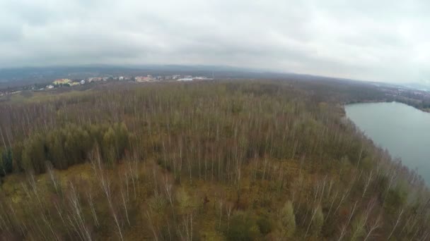 Paisaje invernal europeo con bosque desnudo, amplio río, efecto de movimiento rápido — Vídeo de stock