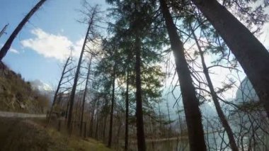 Rocky Dağları, güneşli gün Timelapse Hiking orman, yeşil turizm, yol