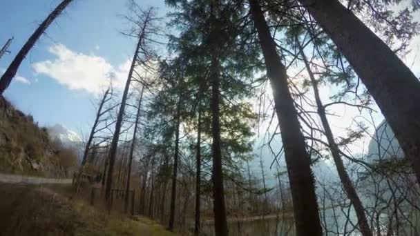 Timelapse slunečného dne v rocky mountains, v lese, sedačky, silniční — Stock video