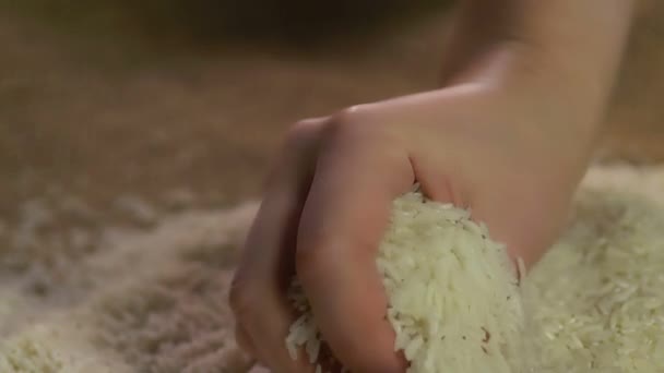 Kvinna kontrollera kvaliteten av ris — Stockvideo