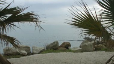 Lagün egzotik palmiye ağaçları ile dalgalanan güzel görünüm. Seaside rekreasyon