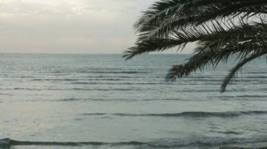 Egzotik tropik resort yaz tatil. Sonsuz deniz dalgalı su yüzeyi
