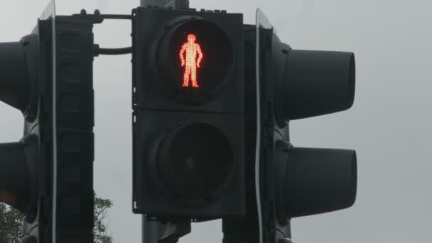 Red traffic light changes to green, allows pedestrians walk. Grant permission — Stock Video