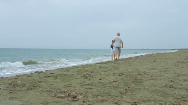 Senior ożenił się para korzystających spacerem wzdłuż morza. Emerytów, w podróży — Wideo stockowe