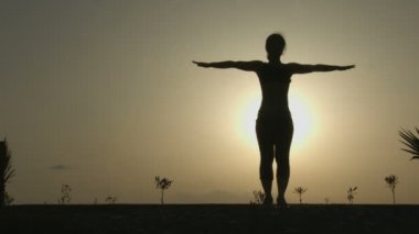 Kadın siluet harmony sağlıklı beden ve zihin için yoga egzersizleri yapıyor