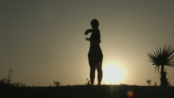 Silhouette of young woman stretching before doing exercises early in the morning — Stock Video