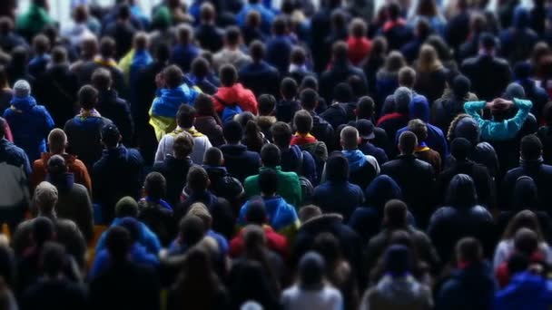 I tifosi di calcio guardando il campo, preoccuparsi per la loro squadra preferita, evento sportivo — Video Stock