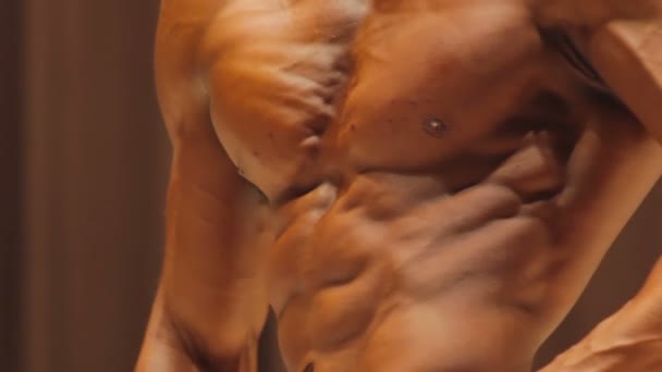 Primo piano del busto maschile muscolare, l'uomo mostra il corpo esausto da allenamenti eccessivi — Video Stock