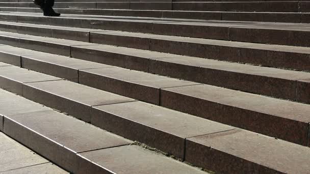 Студентка поднимается по лестнице по дороге в университет, счастливая студенческая жизнь — стоковое видео