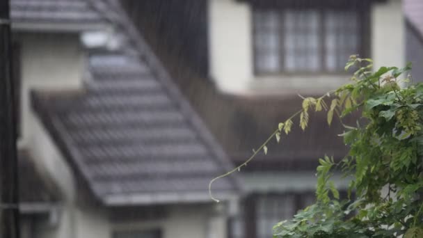 Sommerregen fällt auf ländliche Häuser, Regentropfen fließen auf Dächer herab — Stockvideo