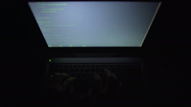 Programlama kodu yazarak laptop, Giriş onaylandı, başarılı veri hırsızlığı hacker