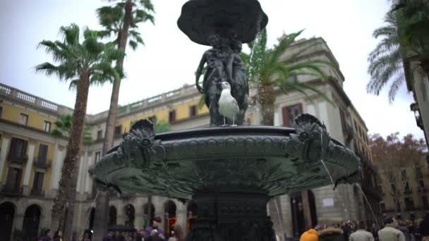 Ciekaw ptak siedzący na fontanny przy Plaza Real, patrząc wielu turystów — Wideo stockowe