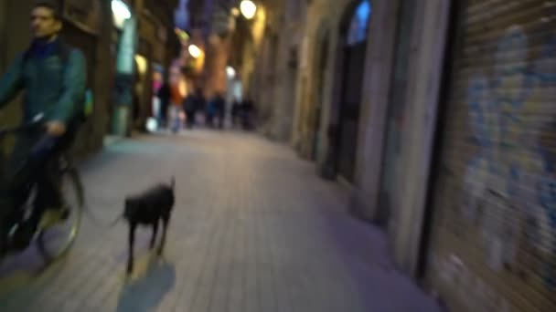 Punto de vista de enfermo, borracho o persona alta caminando en el distrito de la ciudad peligrosa por la noche — Vídeo de stock