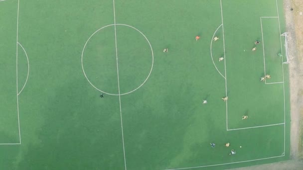 Oynayan profesyonel futbolcular sahada maç — Stok video