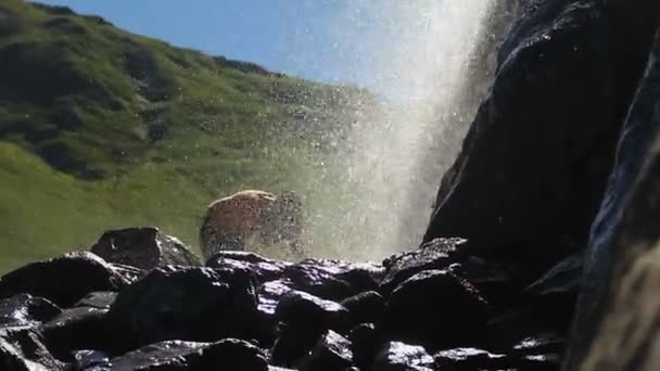 Mujer lavándose la cara — Vídeo de stock