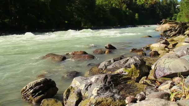 Rocks in powerful river rapids — Stock Video