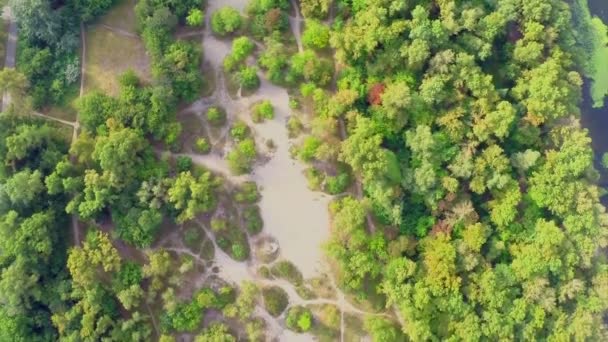 Şehir Parkı ve güzel geniş nehir — Stok video