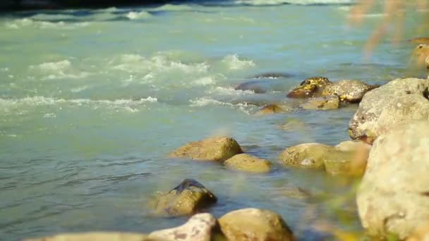 Stenar i turbulenta berg flod — Stockvideo