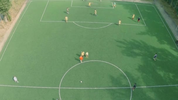 Командная игра в профессиональный футбол — стоковое видео