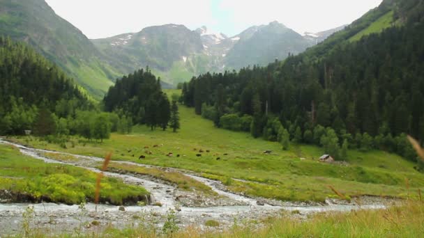 Prachtig berglandschap — Stockvideo