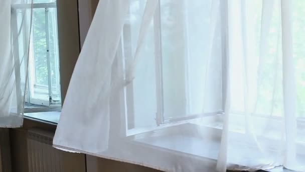 Wind blowing through  curtains — Stock Video