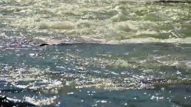 Brilla soleado en el ancho río de montaña — Vídeo de stock