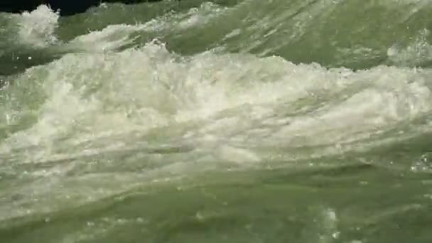 Green water whirlpool — Stock Video