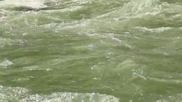 Reflejos en agua verde turbulenta — Vídeo de stock