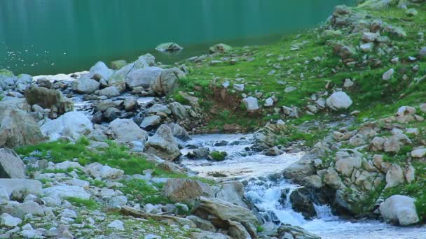 Début d'un ruisseau de montagne dégagé — Video