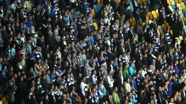 Football team fans standing — Stock Video