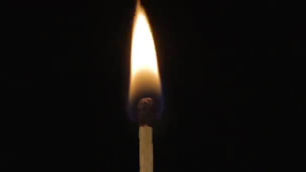 Iluminación de palo ardiente de otro — Vídeos de Stock