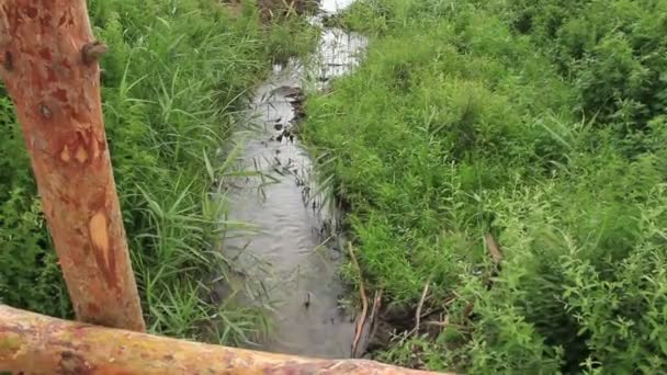 Rio sob ponte de madeira — Vídeo de Stock