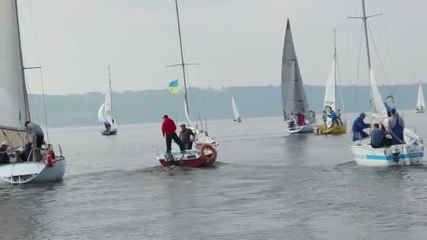 Jachten zeilen op zee — Stockvideo