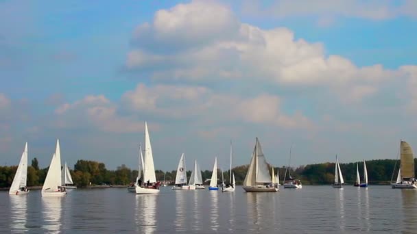 Teknelerden ve yatlar yarışı için toplandı — Stok video