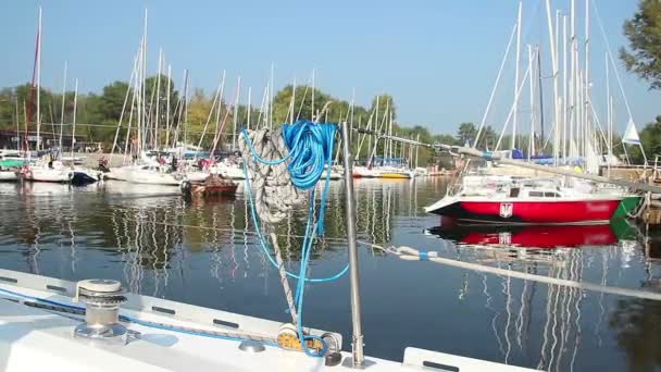Moored sailboats in dock — Stock Video