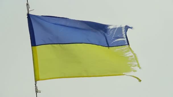 Ukrainian flag waving in wind — Stock Video