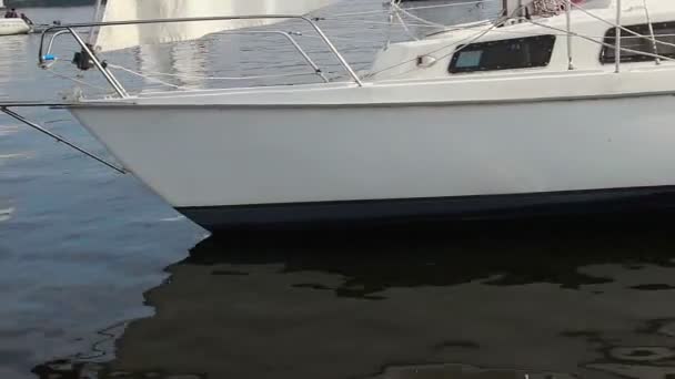 水の上のレーシング ヨット — ストック動画